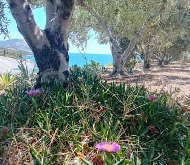 Karpenisi Villa | Villa Marina