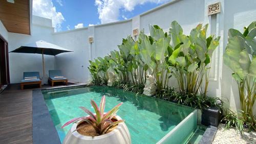 Padonan Villa | Villa Miki 2BR Private Pool Canggu