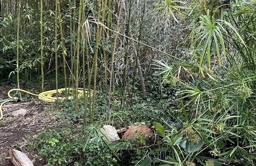 Residences du Golfe de Lava House | Villa Mimosa