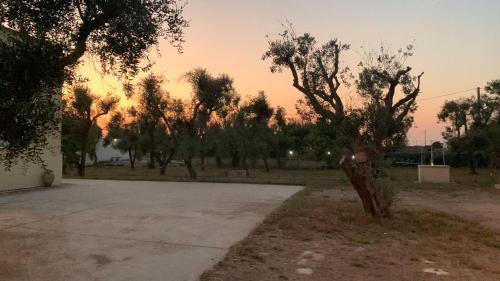 Muro Leccese Villa | Villa Mios