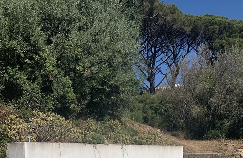 Bastia Villa | Villa Moderne, Piscine, vue Mer, Jardin, Calme, Près de la Ville