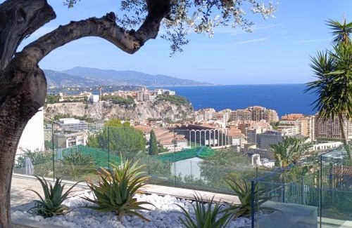 Cap d'Ail Apartment | Villa Mont des Oliviers