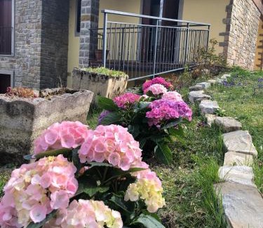 Roncoscaglia Apartment | Villa Natale