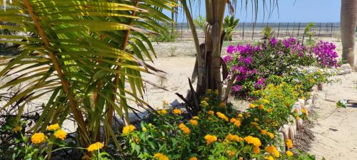 Atsimo-Andrefana House | Villa Nature