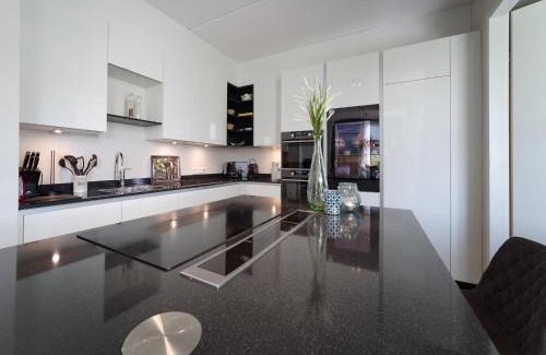 Colijnsplaat House | Villa near Oosterschelde with Game Room