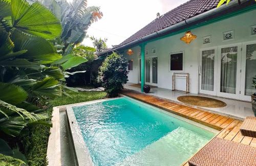 Berawa House | Villa Nova