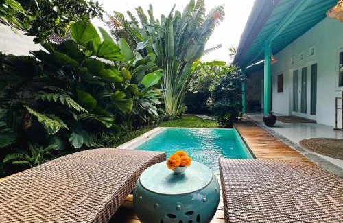 Berawa House | Villa Nova