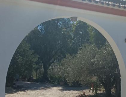 Los Gallardos Villa | Villa Oasis