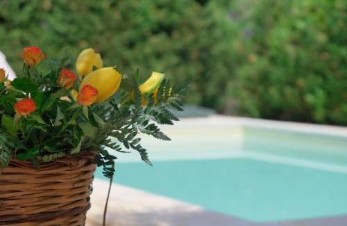 Capo Villa | Villa of Wings (by Vacation Service)