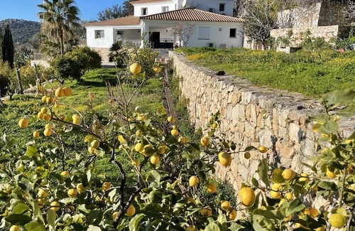 Lumio Villa | Villa Panoramique Lumio