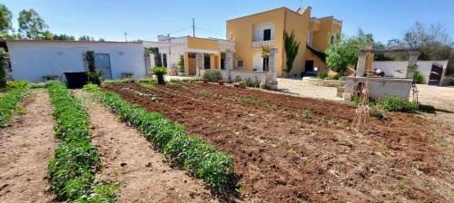 Muro Leccese Apartment | Villa PARADISO - Tra Ulivi e Tramonti da Cartolina