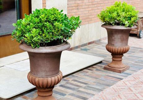 Tivoli House | Villa Pietrantoni