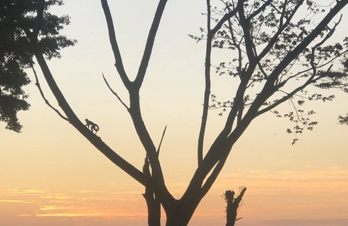 Manzanillo House | Villa Pochote - Private Ocean View Beach Villa