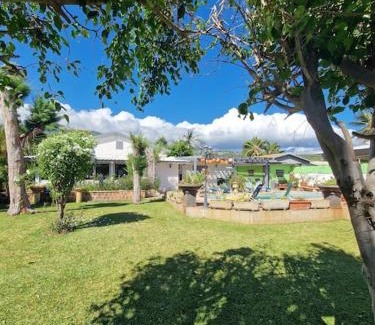 Piton Saint-Leu Villa | Villa Pointe au Sel