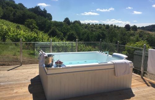 Montevarchi Villa | Villa Pongina with private pool
