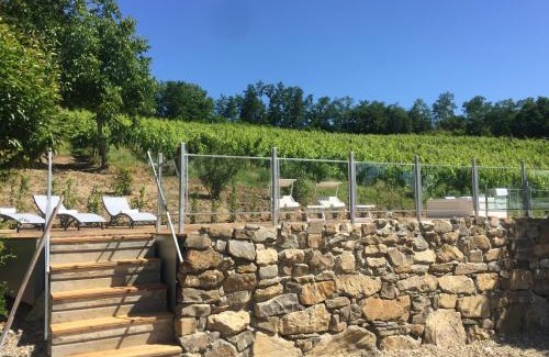 Montevarchi Villa | Villa Pongina with private pool