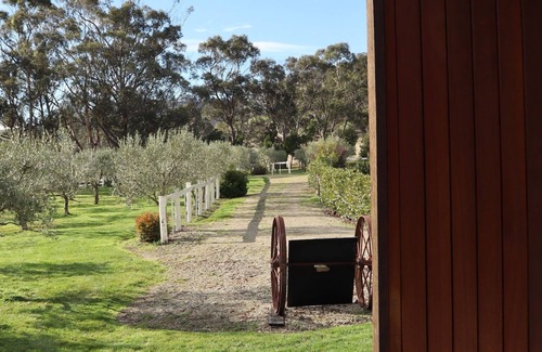 Kellevie Villa | Villa Rochford - A unique place to rest amongst an Olive Grove