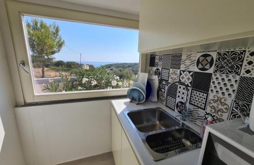 Peschici Villa | VILLA ROSA