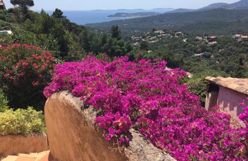 La Croix-Valmer Villa | Villa Sans Pareil