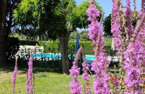 Sarlat-la-Caneda Villa | Villa Sarladaise la Salamandre with private pool