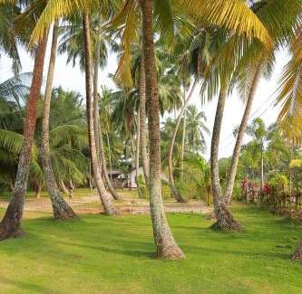 Nalagasdeniya Apartment | Villa Sea Breeze Hikkaduwa