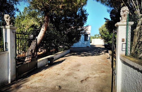 Carovigno House | Villa Serena, between Ostuni and the sea, comfy accommodation amid olive trees.