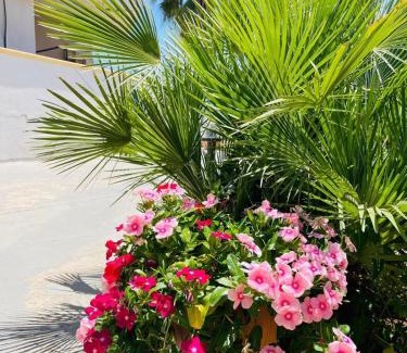 Mazara del Vallo House | Villa Shanti