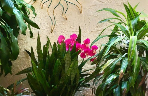 Park East Villa | VILLA SIESTA II - SARASOTA'S BEST KEPT DOWNTOWN SECRET with HEATED POOL!