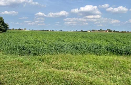 Castel Guelfo di Bologna Hotel | Villa Solarola Country House