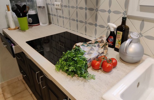 Flayosc Villa | Villa Susoft in Flayosc, air-conditioned with private pool and tennis