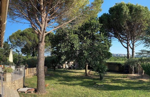 Pujaut House | Villa Taeo in Provence