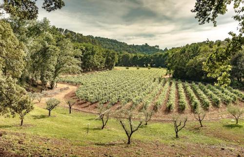 Le Val Villa | Villa Terrubi en Provence au Domaine Fontainebleau