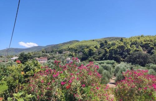 Kato Samiko Villa | Villa Thea