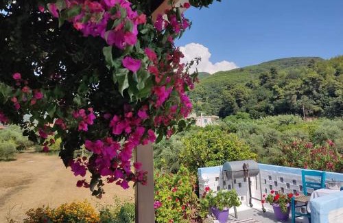 Kato Samiko Villa | Villa Thea