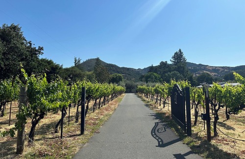 Kenwood House | Villa Ticino wine country vineyard estate - pool, spa, bocce + walk to wineries