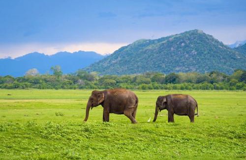 Kantalai House | Villa village guest house