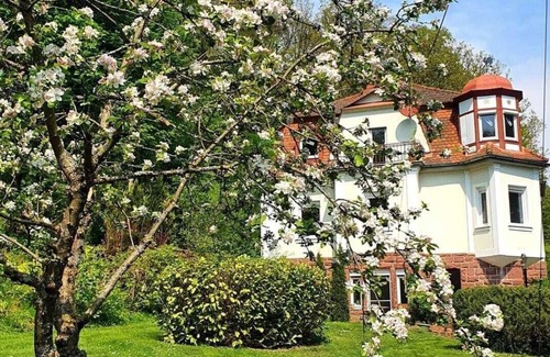 Bad Kissingen Apartment | Villa Waldeck: Secluded location | sun terrace | kitchen