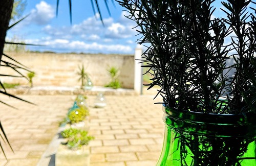 Manduria Villa | Villa with pool surrounded by olive trees in salento