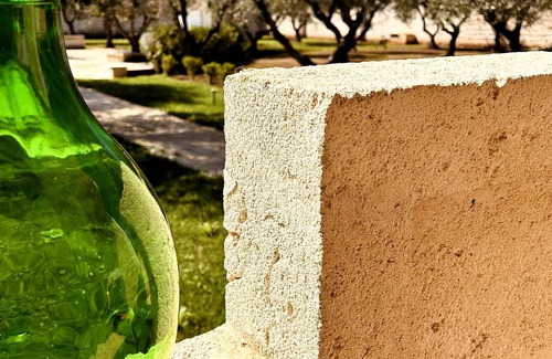 Manduria Villa | Villa with pool surrounded by olive trees in salento