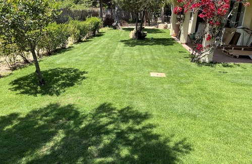 Villaggio delle Mimose Villa | Villa with garden 100 mt from the beach " timi ama " . CIN IT111105C2000Q9165