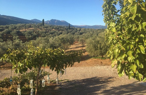 Aigio Villa | Villa with great views of see and country