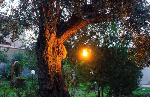 Viagrande Villa | Villa with large garden and views of Mount Etna. Gazebo and barbecue
