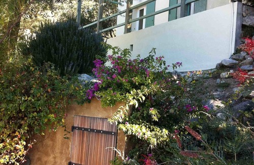 Zilia House | Villa with swimming pool in a property planted with century-old olive trees