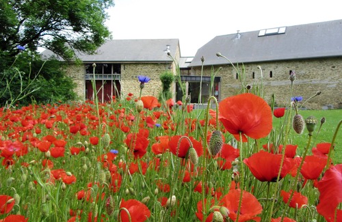 Braives House | Village du Saule - MMER, 55 beds in the heart of hesbignonne nature