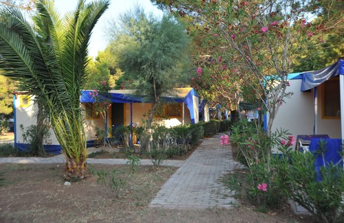 Mandrione RV Rental | Villaggio Capo Vieste Camping