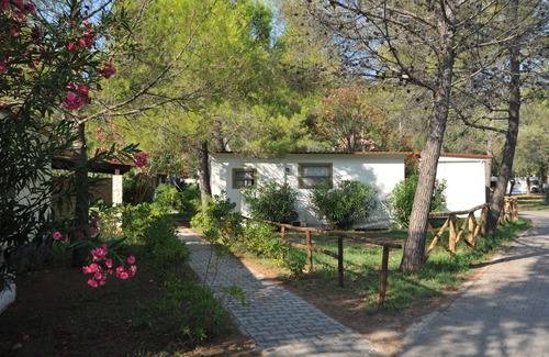 Mandrione RV Rental | Villaggio Capo Vieste Camping