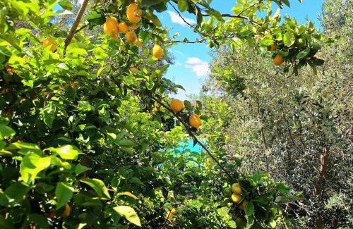 Castel Gandolfo Apartment | Villetta di Lago Albano