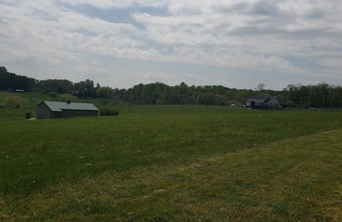 Kemblesville House | Vineyard Getaway!