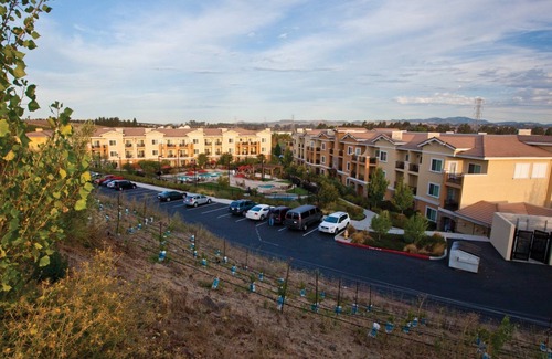 Napa Apartment | Vino Bello next to Meritage Resort "Taste of Napa". 2 Double Beds, Sleeps 4.