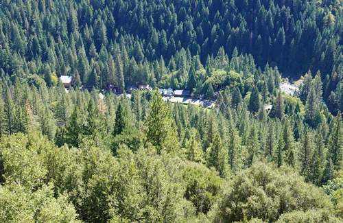 Sierra City Cabin | Vintage aframe, four season splendor!